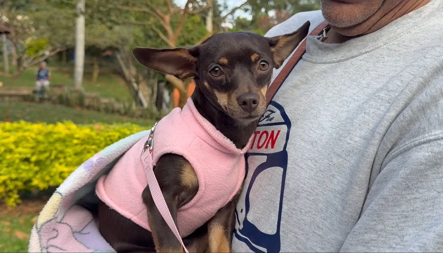 En La Estrella esterilizaron 135 perros y gatos en la primera del 2025