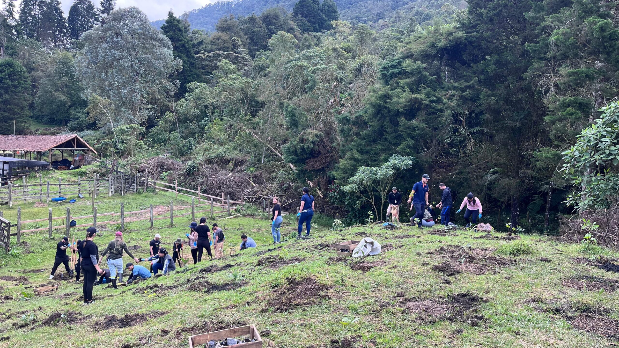 La reserva natural La Romera de Sabaneta florece: siembran 300 árboles en este pulmón verde